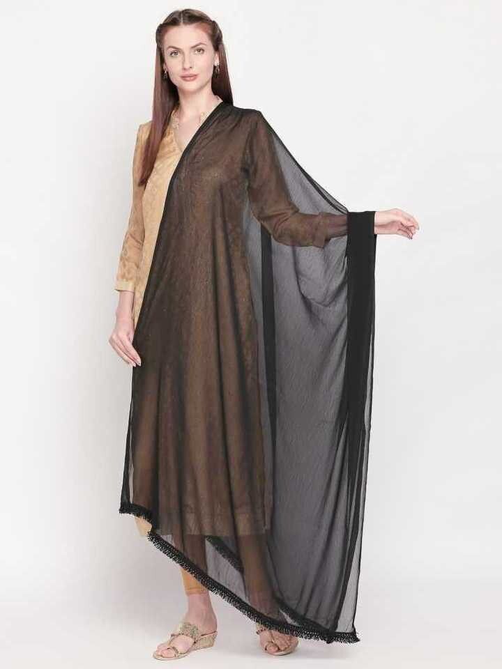 Nylon Solid White Women Dupatta-image-31