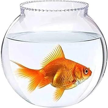 savorade 10 Inchi coller @4 Round Ends Aquarium Tank-picture-15