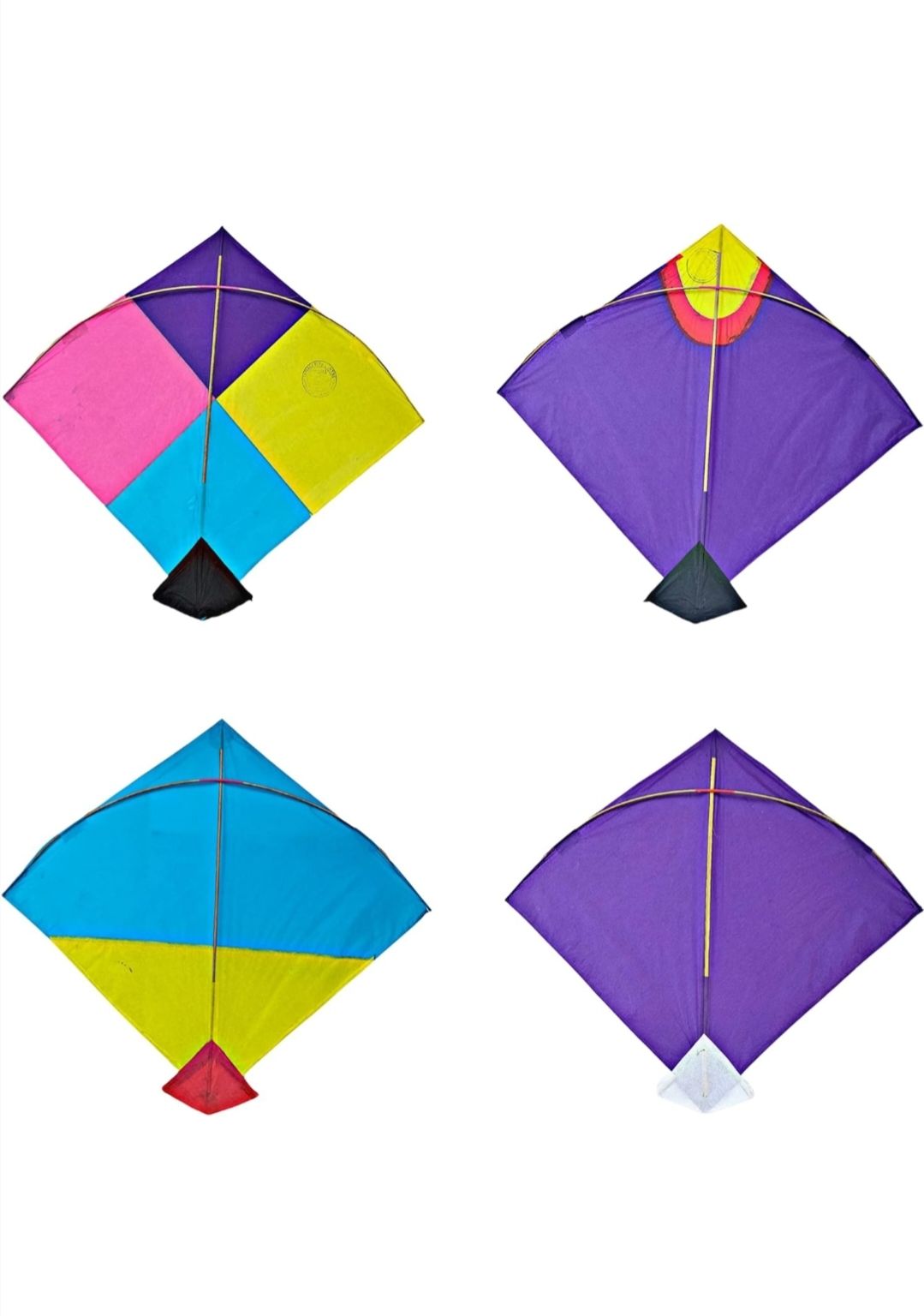 Amajali Cheel Kite-image-33