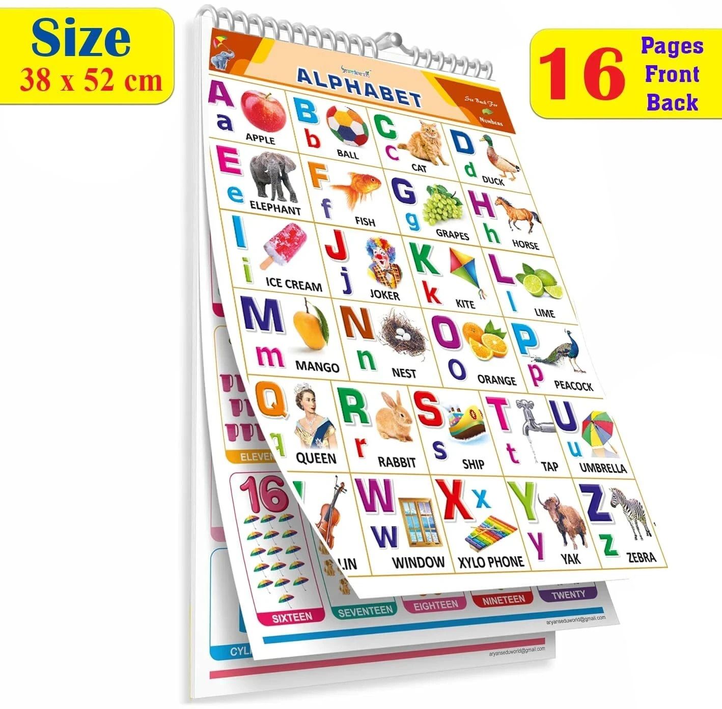 All in One ENGLISH & HINDI Chart For Kids (16 Charts ) Children Spiral Chart-image-22