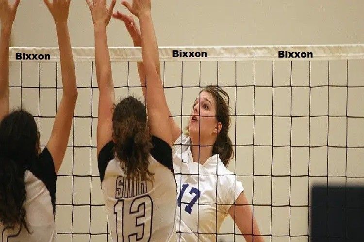 DLF-567 Volleyball Net Cotton Net mm mm Volleyball Net