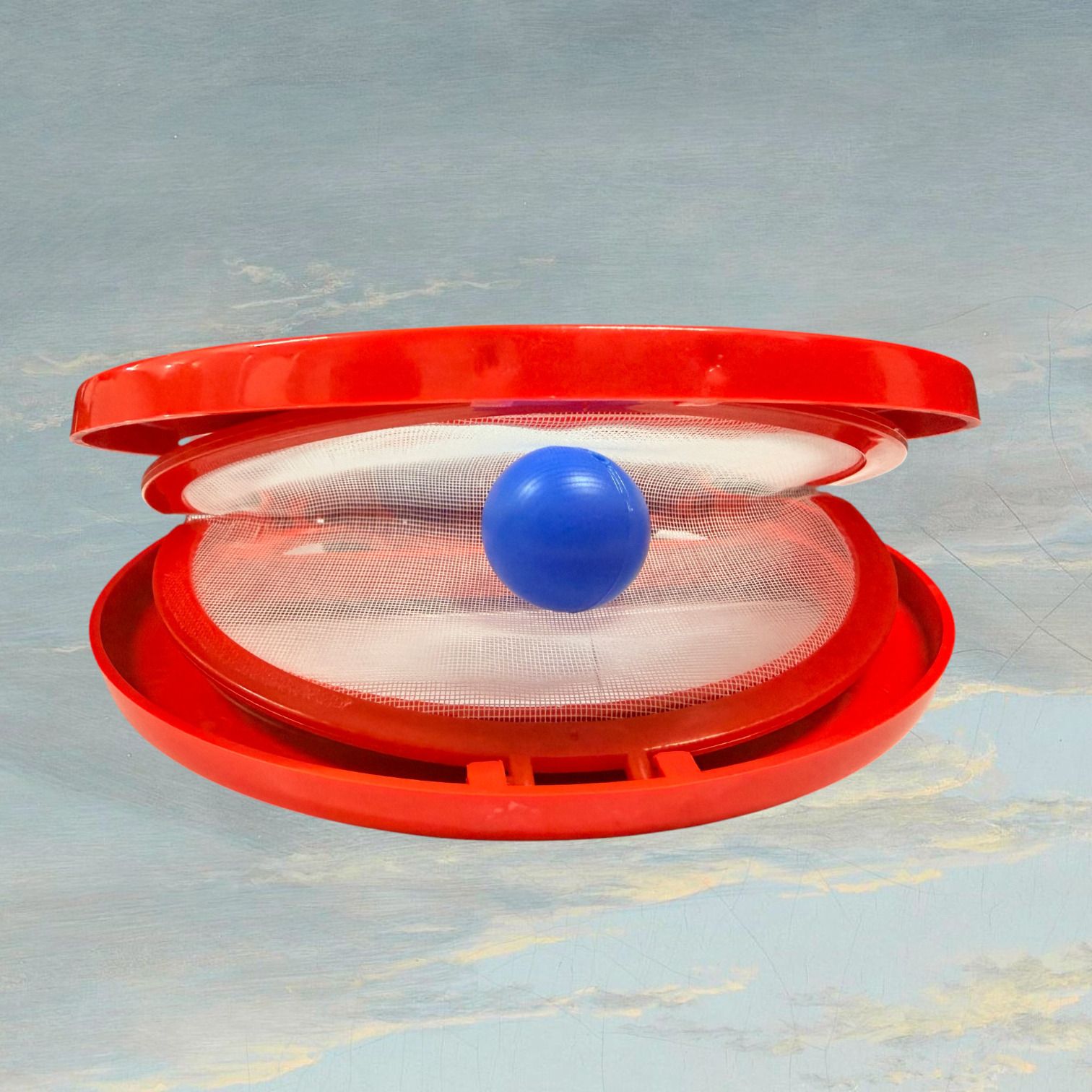 Outdoor Activity Catch Ball Game for Children Sports Fun-image-8
