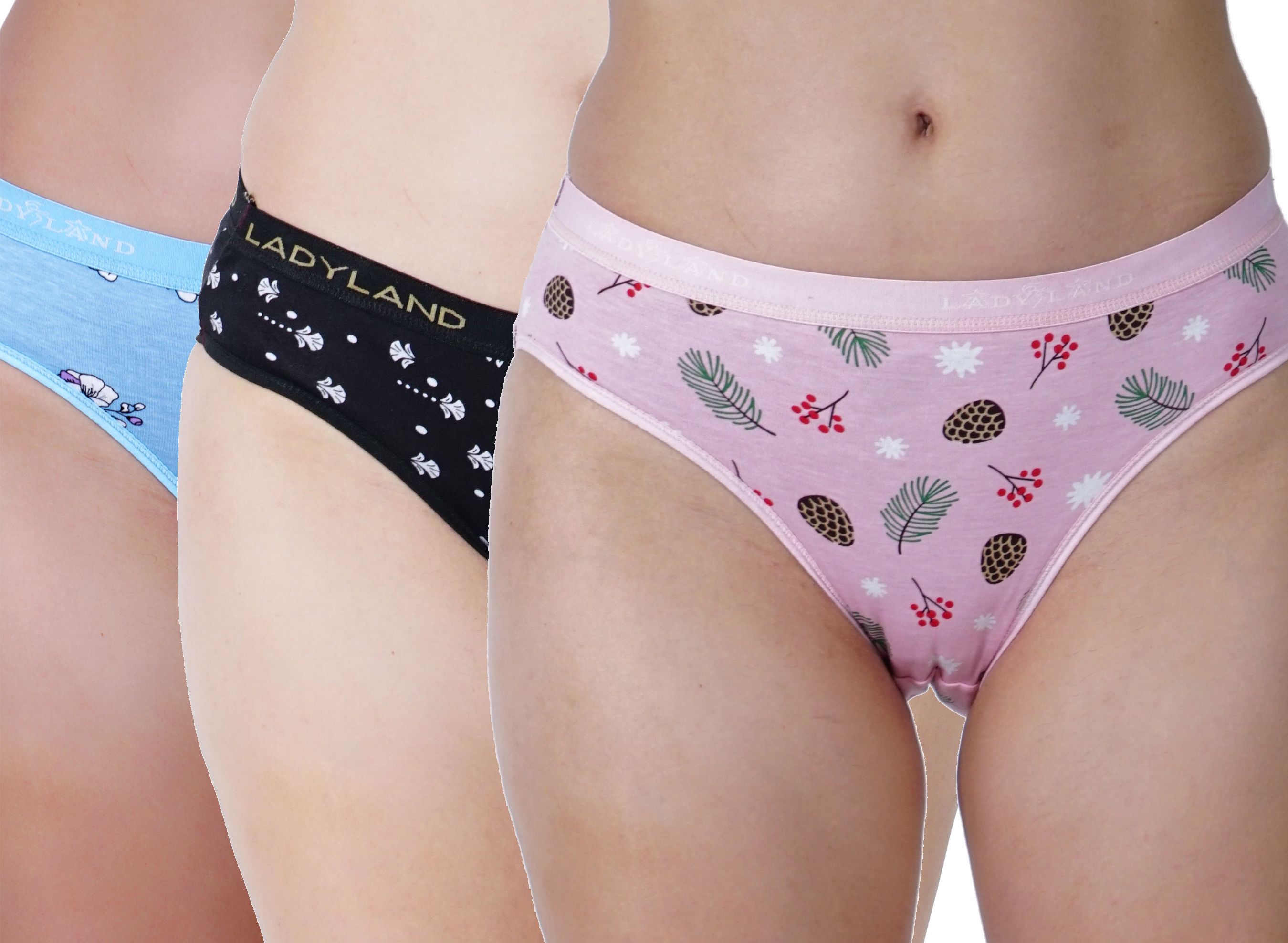 ladyland Pack of 3 Women Hipster Multicolor Panty-picture-47