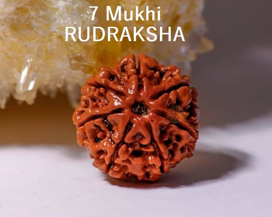 vritti Original 7 Mukhi Nepali Rudraksha Bead for Wealth, Stability & Protection Beads Wood Pendant-picture-0