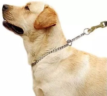 scart Dog Chain with both Corner Rings for Multipurpose Use(Length - 4 Feet) Pet Wheelchair-picture-36