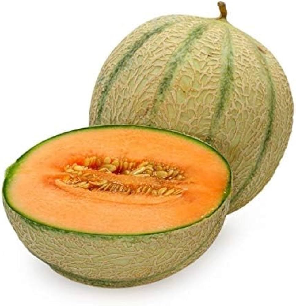Musk Melon Seed-image-45