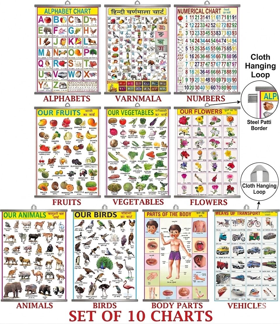 Educational Kids learning Laminated Wall Chart In Hindi and English | Size 45X60 CM | Non-Tearable and Waterproof | Pack of 10 Attractive Charts Paper Print-image-43