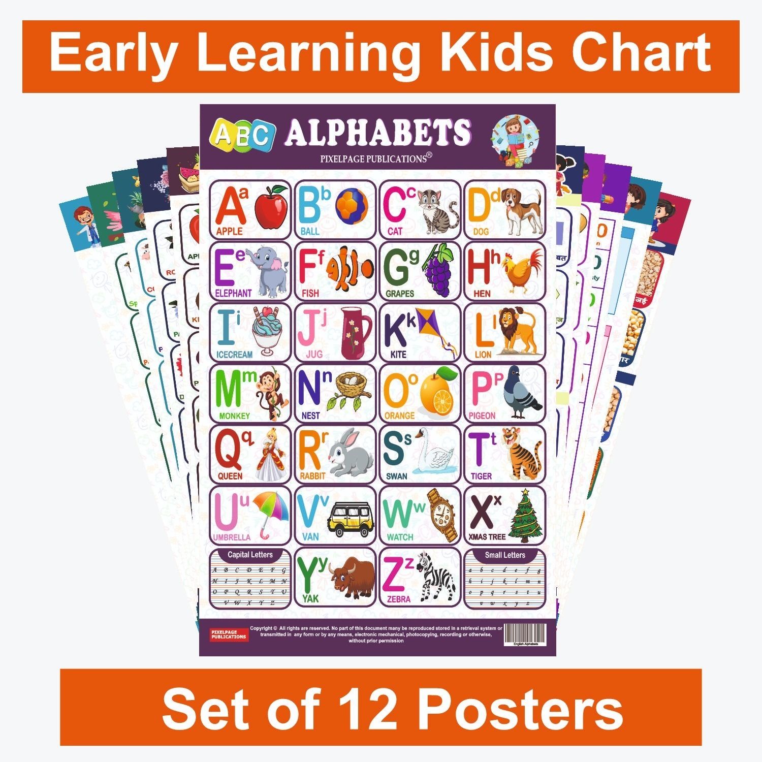 Complete Kids' Chart Set - 12 Educational Charts: ABCs, Hindi, Numbers, Fruits, Vegetables, Flowers, Multiplications, Shapes, Colours, Birds, Animals, Body Parts, Grains, Pulses - Explore, Learn, Grow Paper Print-image-23