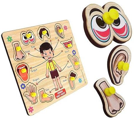 shreevi Human Body Parts Wooden Puzzle Kids Games Toys for Kids Baby Learning Toys-picture-21