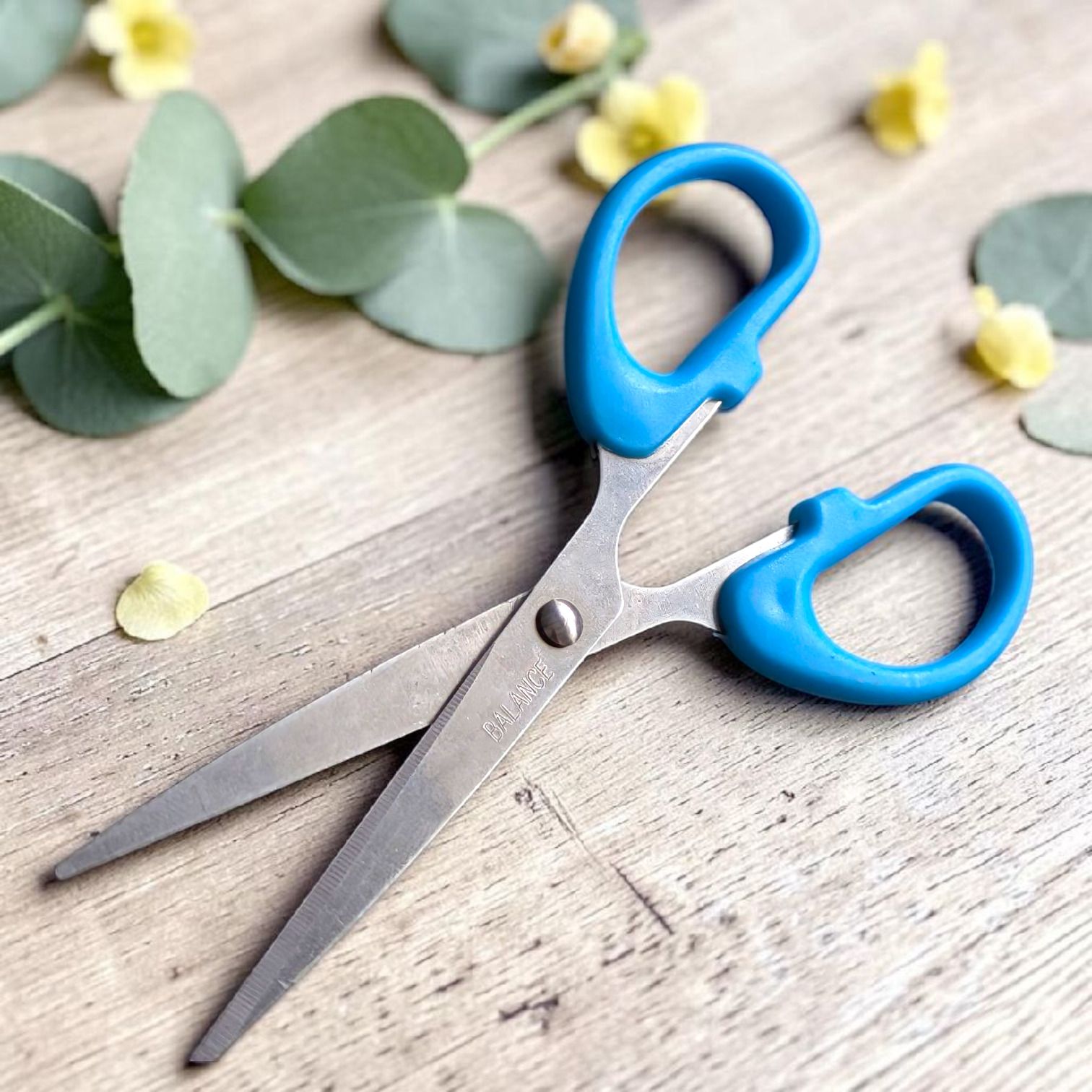 queed MultipurposeMulticolor Stainless Steel 002 Scissors B-768 Scissors-picture-16