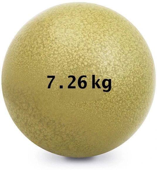gamers hub 7.26 kg Shot Put-picture-22