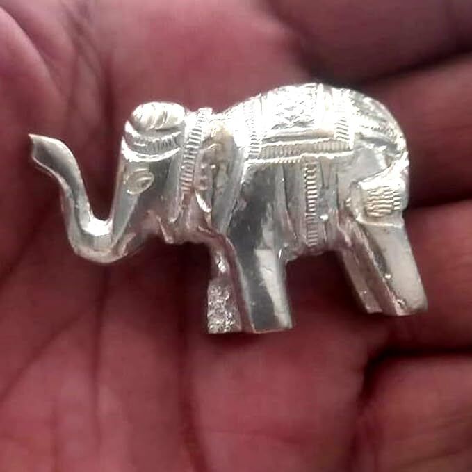 Astro-D, Silver Elephant, Hathi idol for Pooja, Vastu and Rahu (50 gm) Decorative Showpiece - 2 cm-image-21
