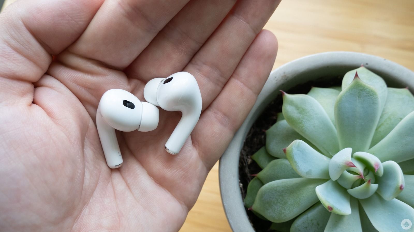 RICH POLO BEST SOUND PODDS Smart Headphones-image-6
