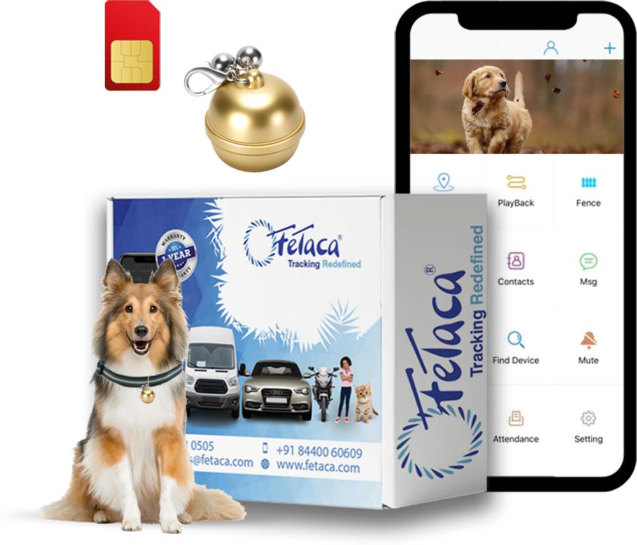 Smart Bell tracker for Pet Safety: Dogs, Cats, and More With Tracking Platform Location Smart Tracker-image-45