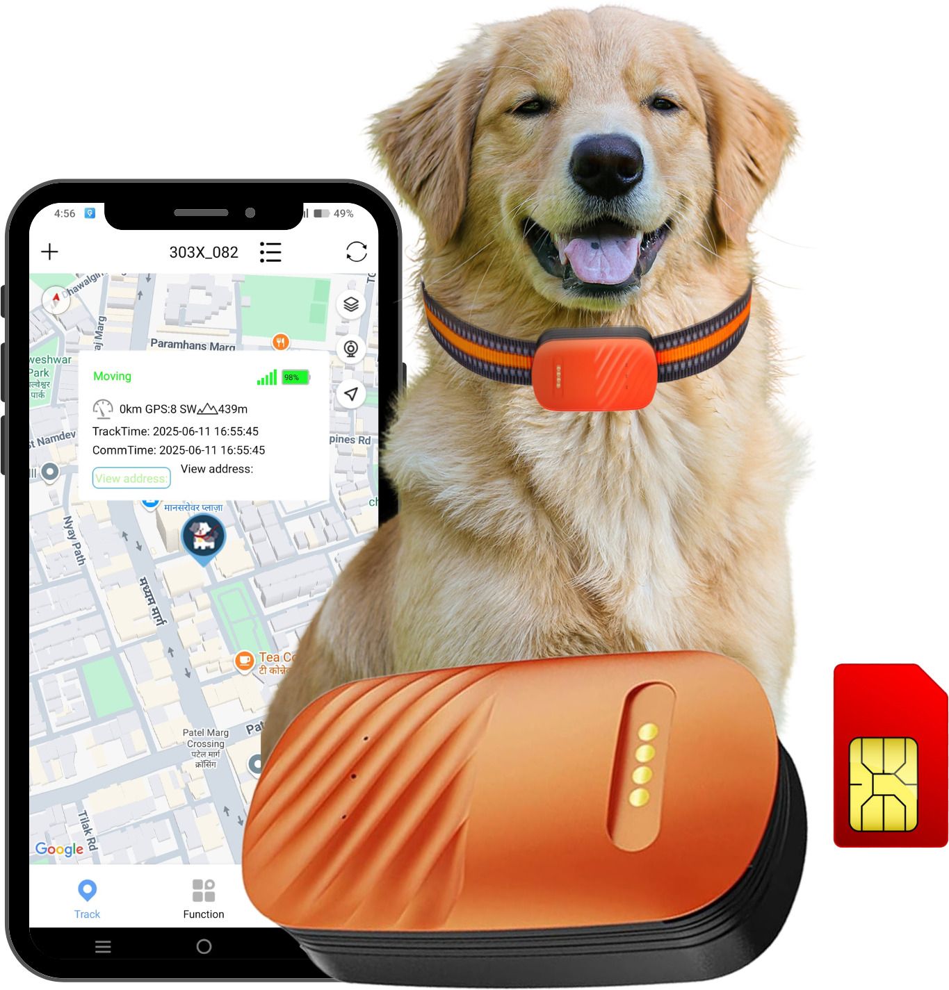 fetaca 4G Pet GPS Tracker w/ Free SIM & Collar | Live Tracking, Waterproof, Alerts Location Smart Tracker-picture-16