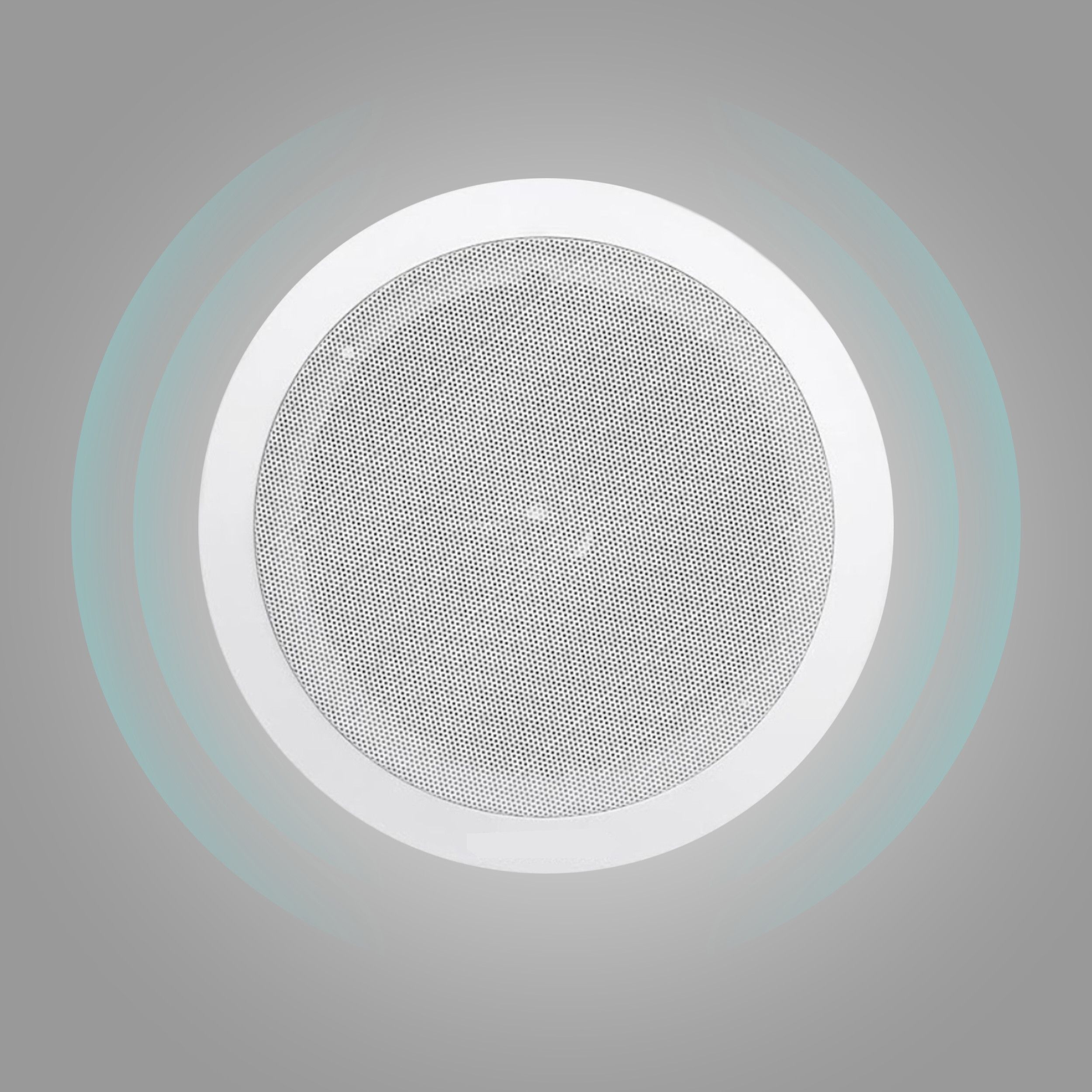 Powerlink 9-Inch 20-Watt Wired Ceiling Speaker (Pack of 1, Metal Grill) (with LMT) 10 W Home Audio Speaker-picture-16