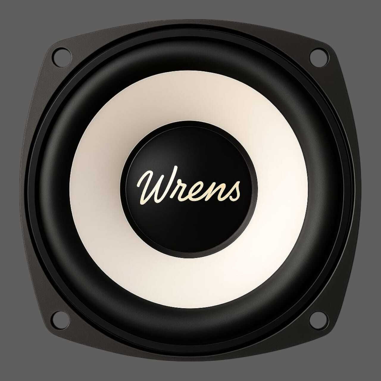 WRENS 3 Inch 100W Heavy Bass Woofer Speaker for Car Home Theater System 100 W Home Audio Speaker-image-44