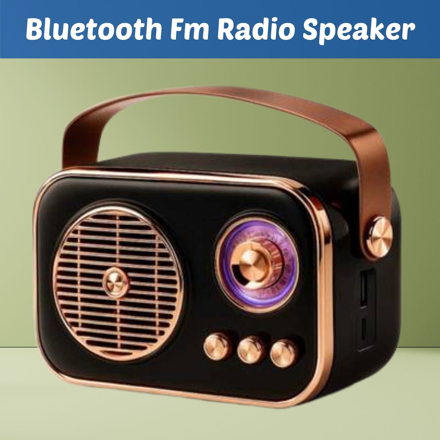 FRONY Bluetooth FM Radio Speaker(PORTABLE WIRELESS RADIO SPEAKER)With Stereo SoundT250 10 W Bluetooth Laptop/Desktop Speaker