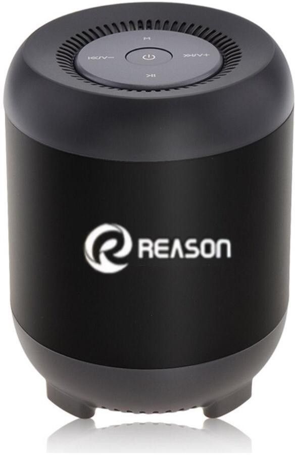 reason Pluto Quinto 6 5 W Bluetooth Laptop/Desktop Speaker