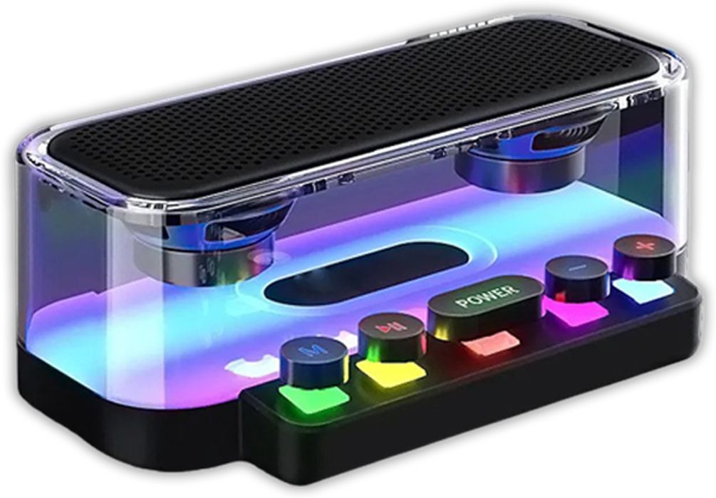 REMAXX Bingo 20 W Bluetooth Party Speaker