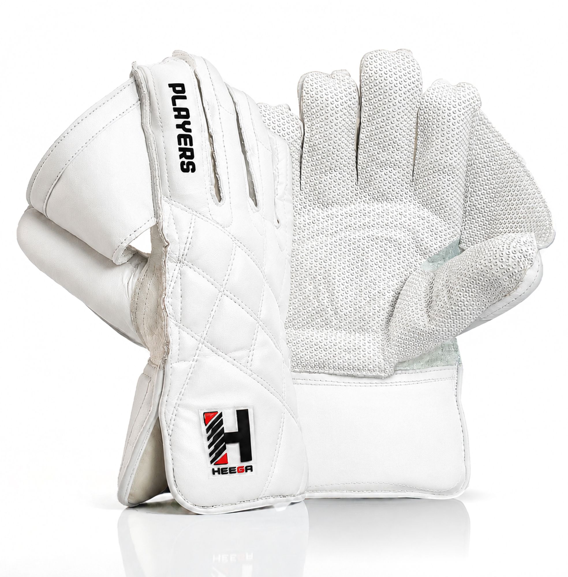 heega Players White Wicket Keeping Gloves-picture-10