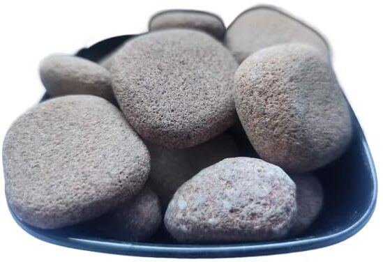 green plant indoor Riverbiggravel3869 Polished Oval Rock Stone-picture-20