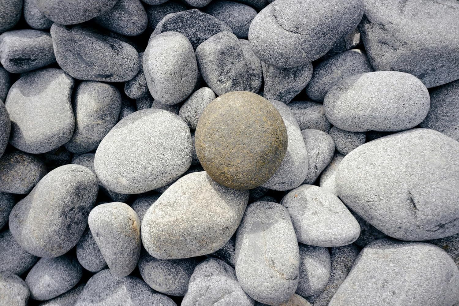 green plant indoor Riverbiggravel3649 Polished Oval Rock Stone-picture-30
