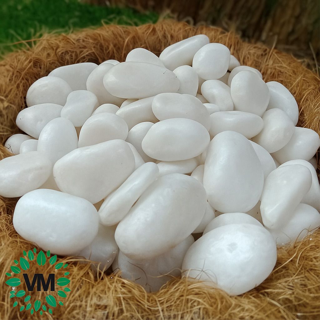 Decorative White Pebbles 1kg – Glossy Stones for Aquarium, Garden & Home Décor Polished Asymmetrical Quartz Pebbles-image-26