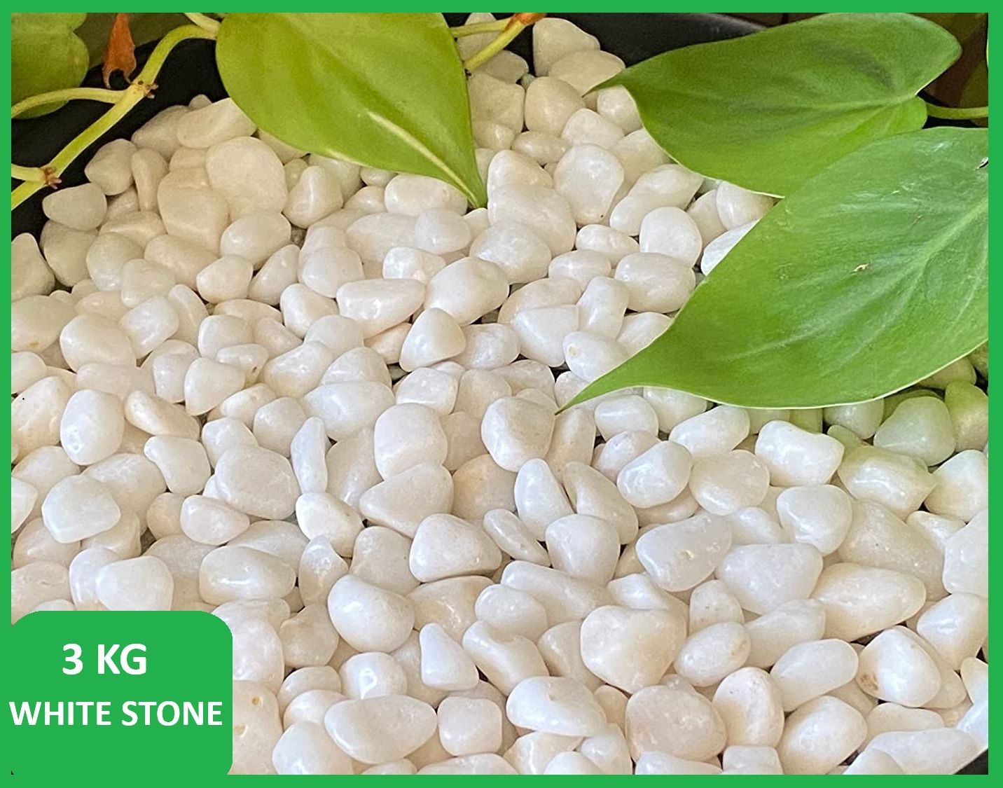 White Pebble Stones 3 KG for Plants Garden Aquarium Decoration Marble Polished Asymmetrical, Round, Rectangular, Square, Oval, Angular Granite, Marble Stone-image-32