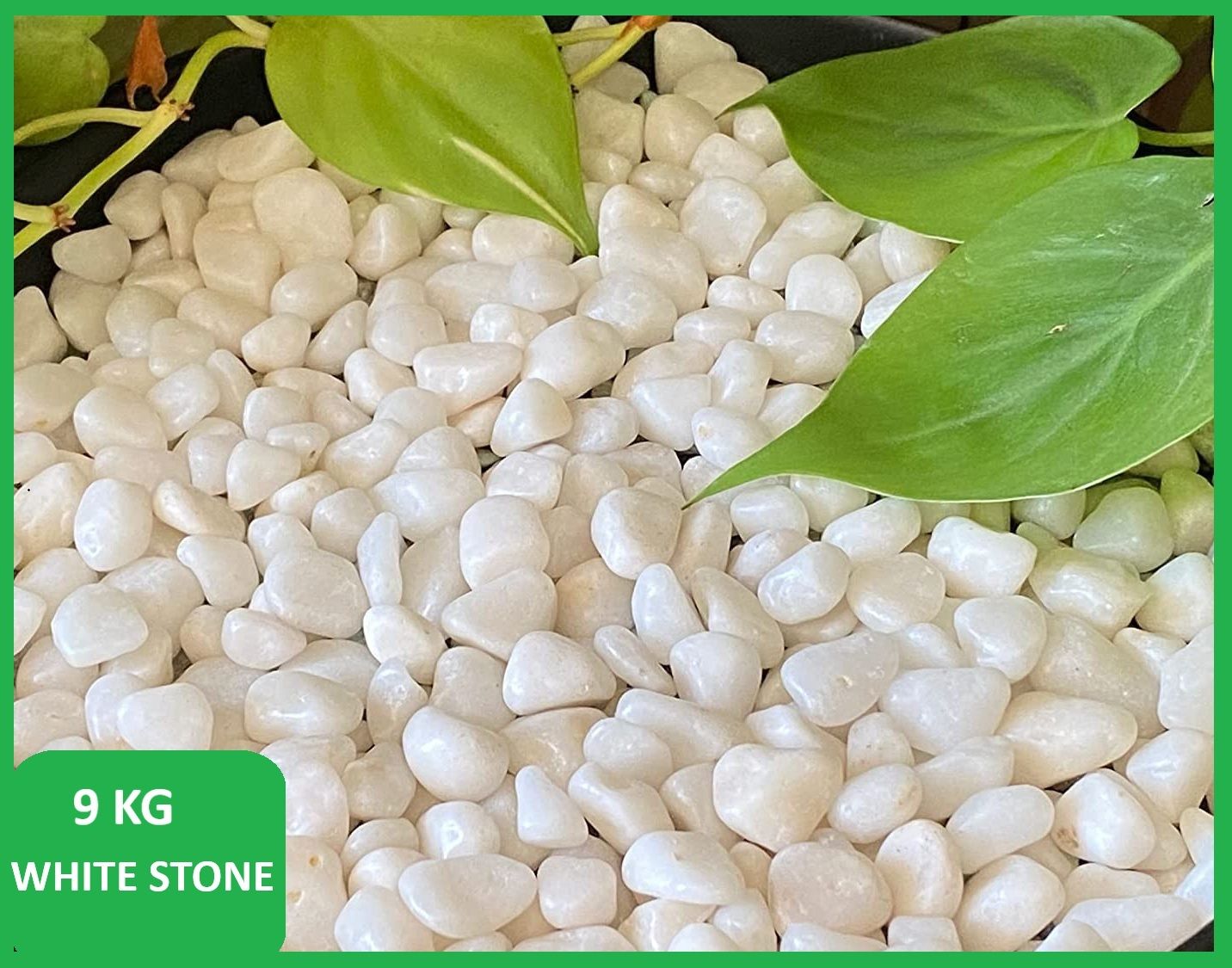 smab White Pebble Stones 9 KG for Plants Garden Aquarium Decoration Marble Polished Asymmetrical Marble, Rock, Granite Stone-picture-39