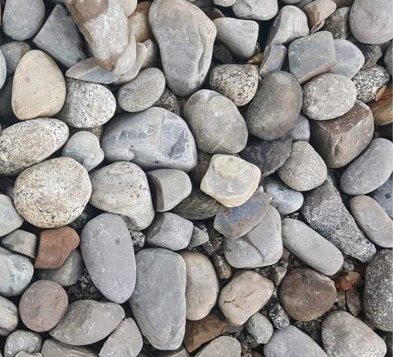 green plant indoor Riverbiggravel3806 Polished Oval Rock Stone-picture-18