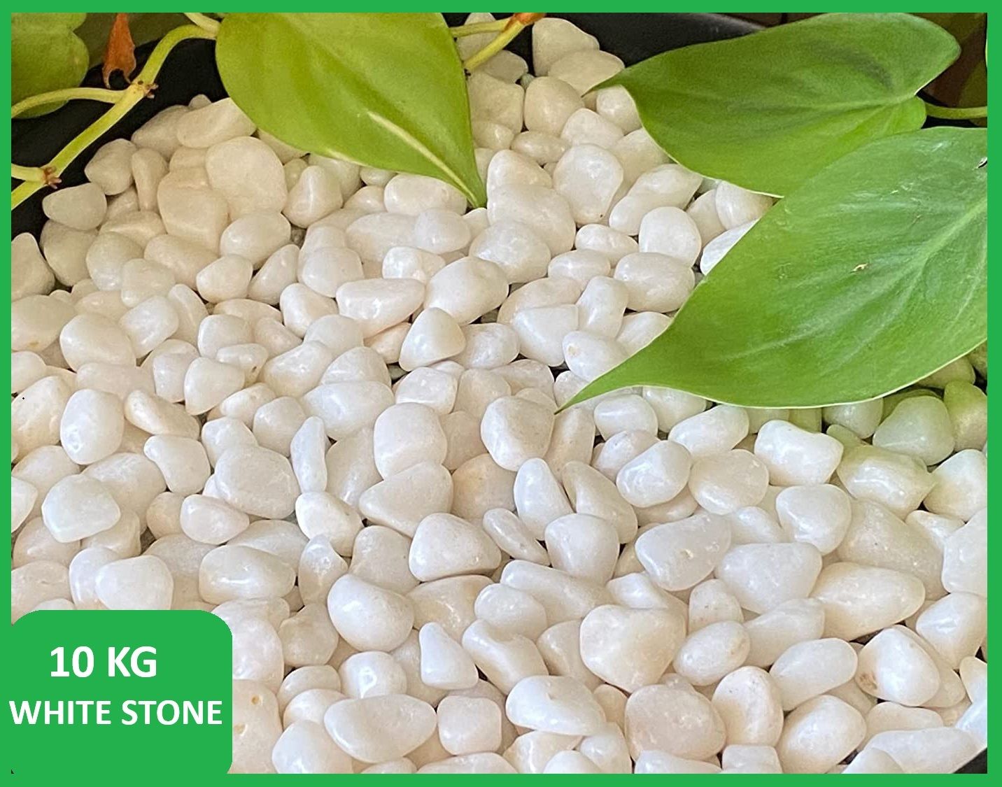 smab White Pebble Stones 10 KG for Plants Garden Aquarium Decoration Marble Polished Asymmetrical Granite, Marble, Rock Stone-picture-34