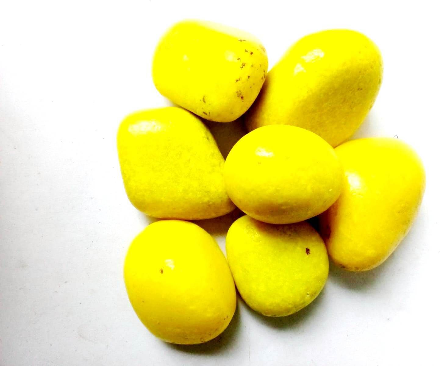 green plant indoor BigStones4838 Polished Oval Rock Stone-picture-13