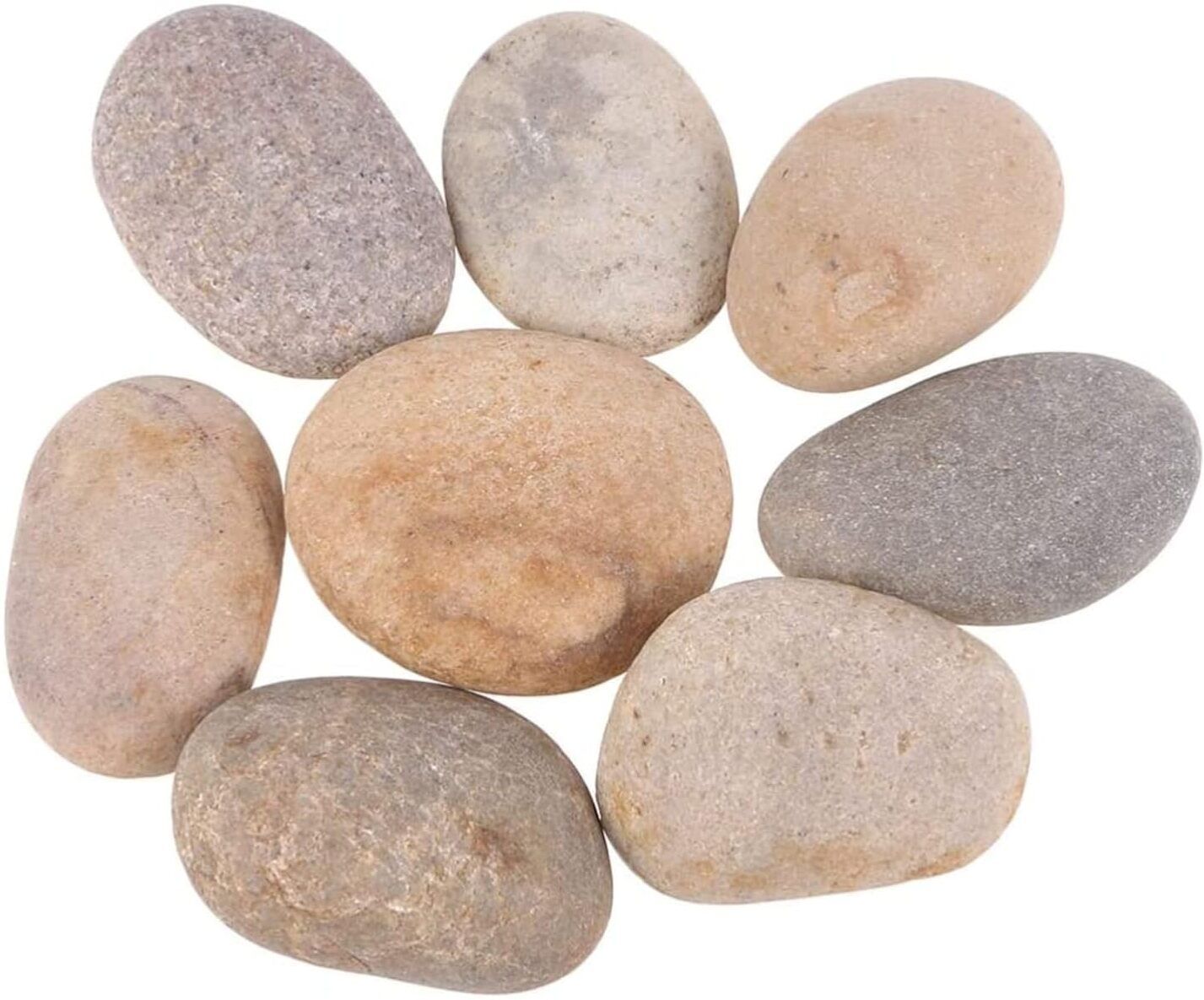 green plant indoor Riverbiggravel3728 Polished Oval Rock Stone-picture-48