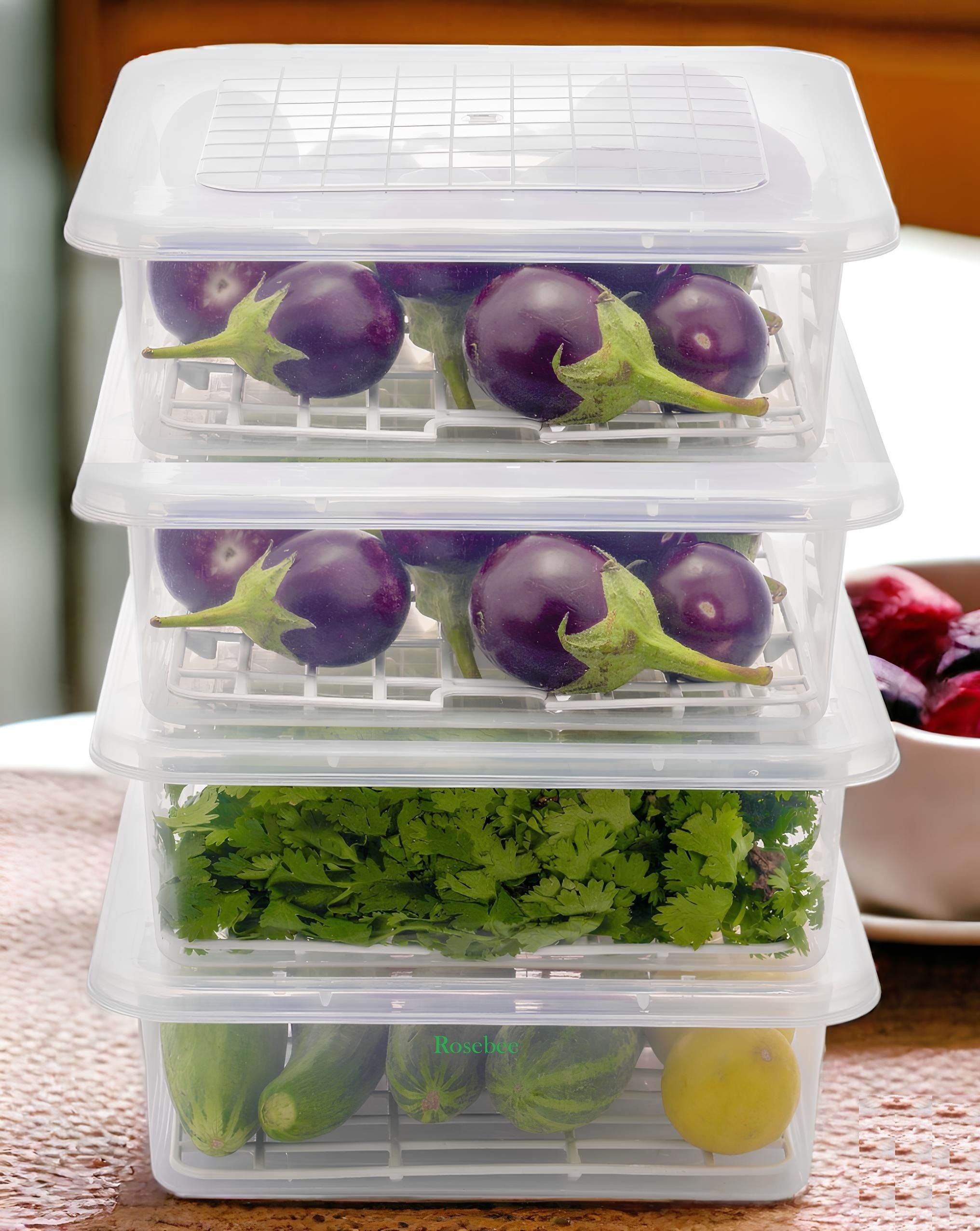 Plastic 2400ml Fridge Storage Container for Fruit, Fish, Vegetables, Food Storage Basket