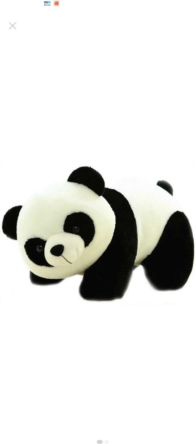 Cute Panda Plush Soft Toy for Kids | Premium Stuffed Animal Teddy - 0 mm-image-31