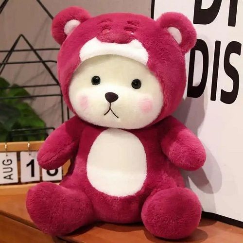 Hoodie Teddy Bear Soft Toy Cute Plushies Gift for Babies - 25 cm-image-19