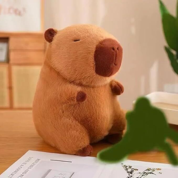 Capybara Plush Toy 25 cm – Cute & Cuddly Stuffed Animal - 25 cm-image-8