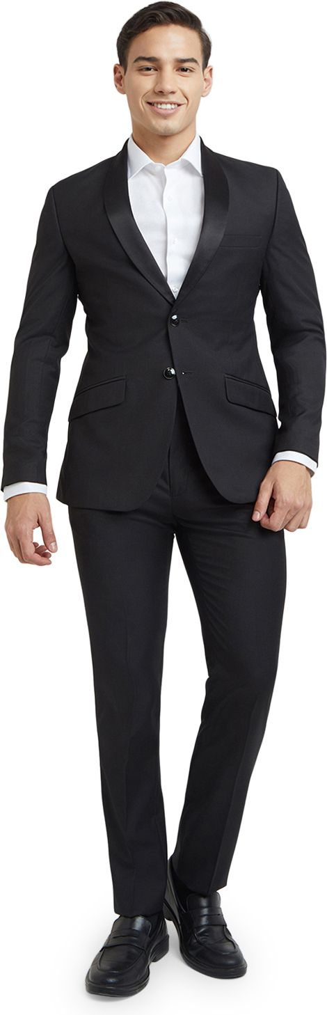 raymond Men 2 Pc Suit Solid Suit-picture-26