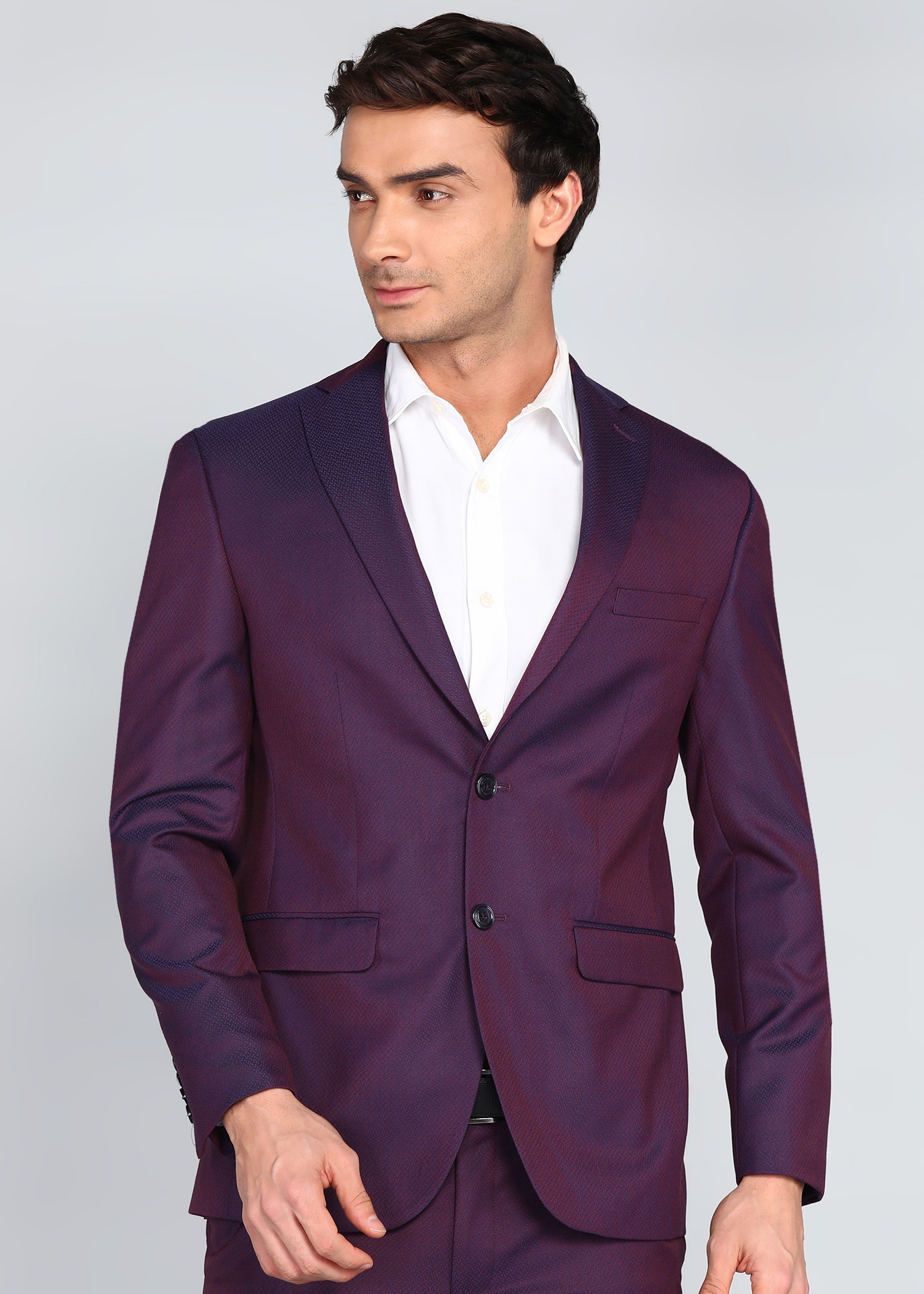 peter england Men 2 PC Suit Textured Suit-picture-19