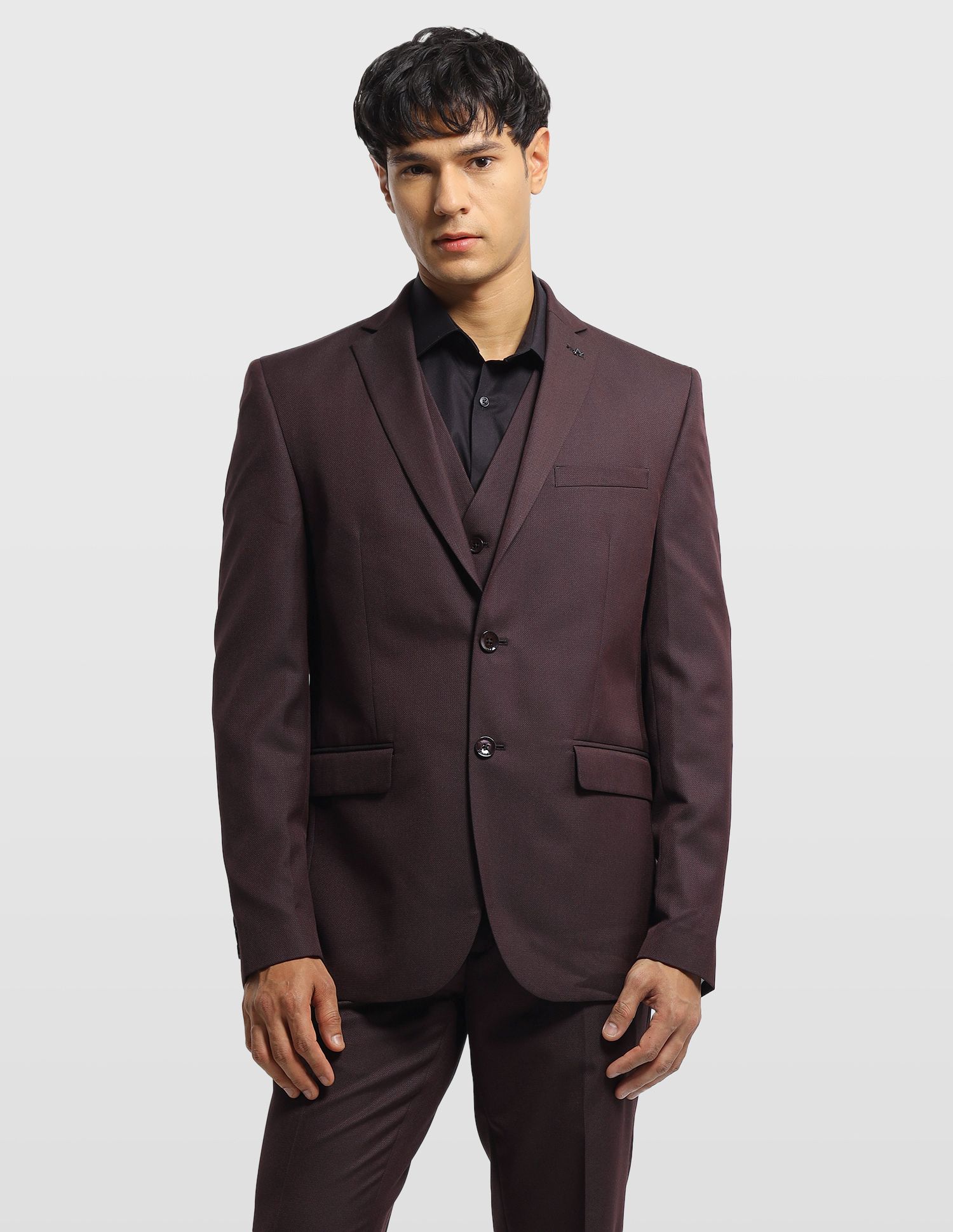 arrow Men Formal Wear Self Design Suit-picture-30
