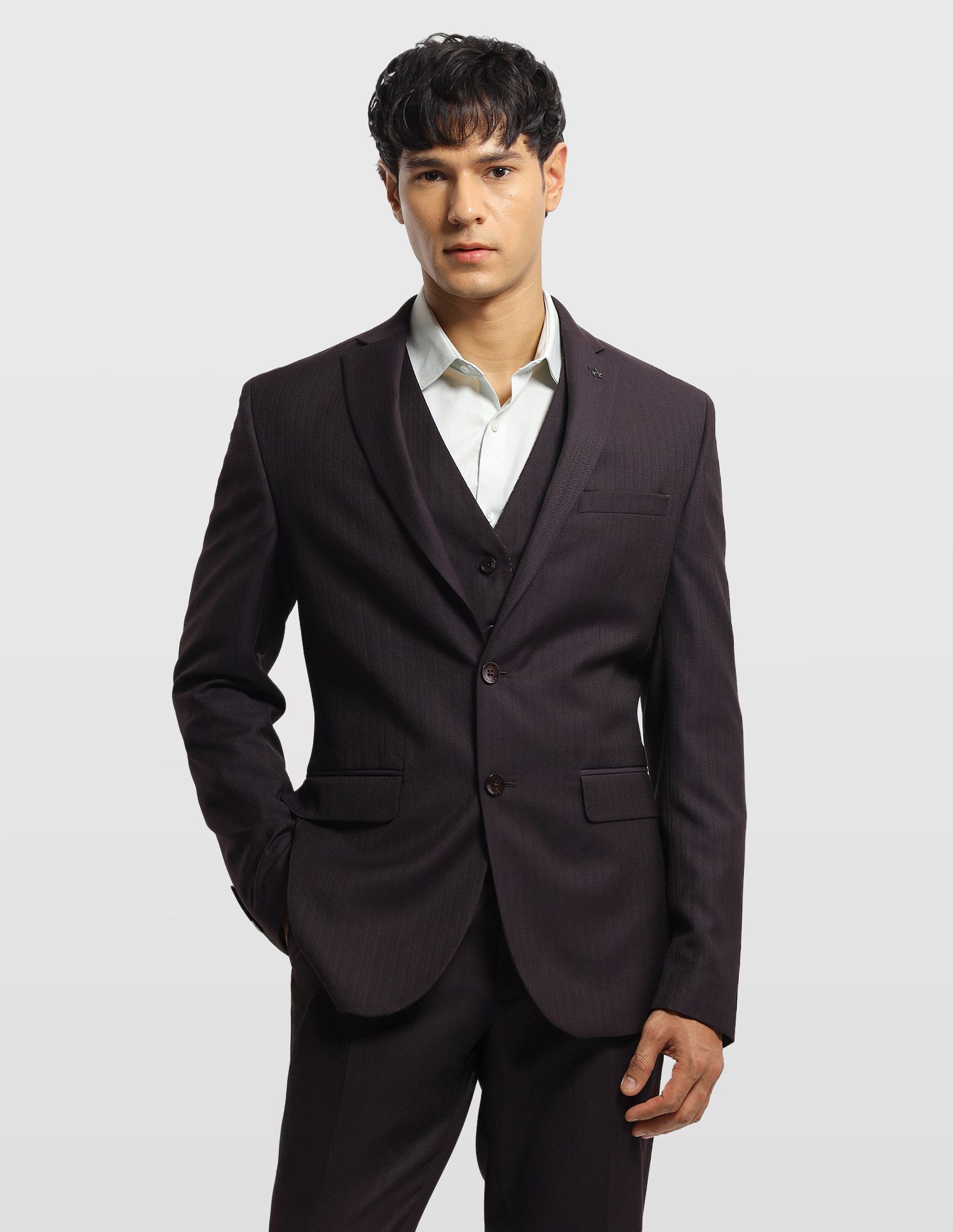 arrow Men Formal Wear Self Design Suit-picture-30