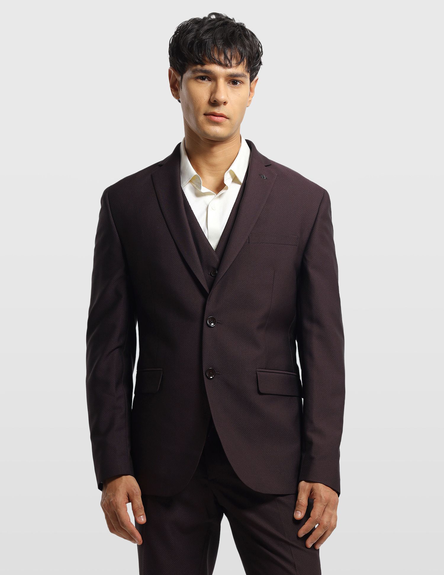 arrow Men Formal Wear Solid Suit-picture-45