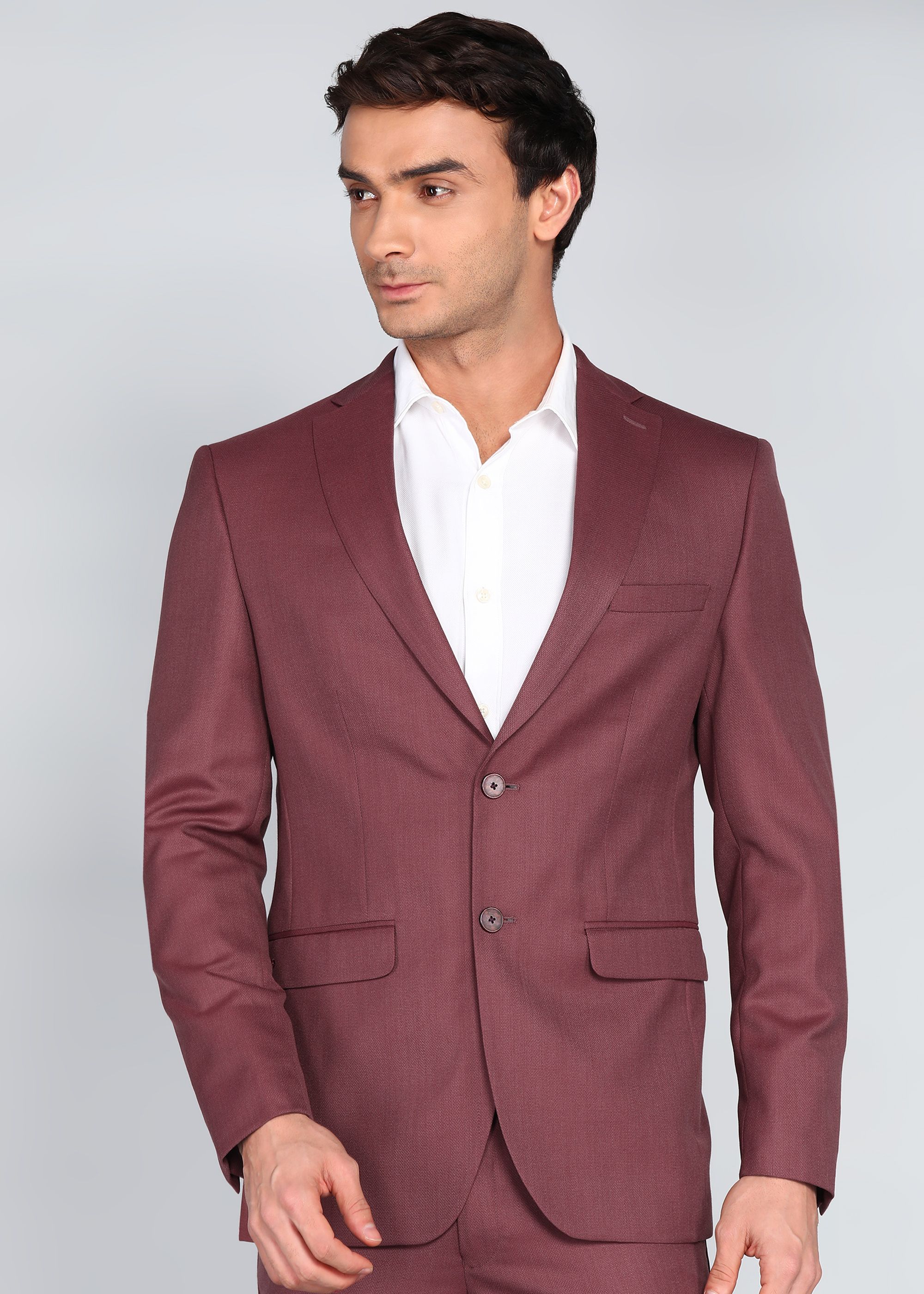 peter england Men 2 PC Suit Textured Suit-picture-20
