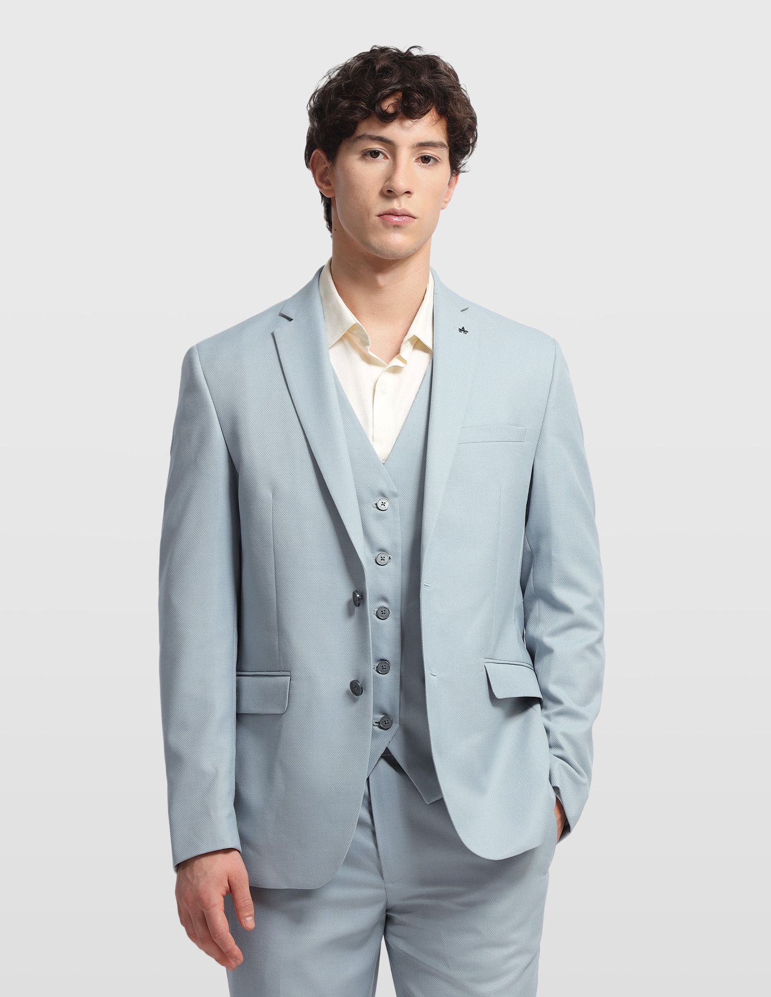 arrow Men Formal Wear Self Design Suit-picture-41