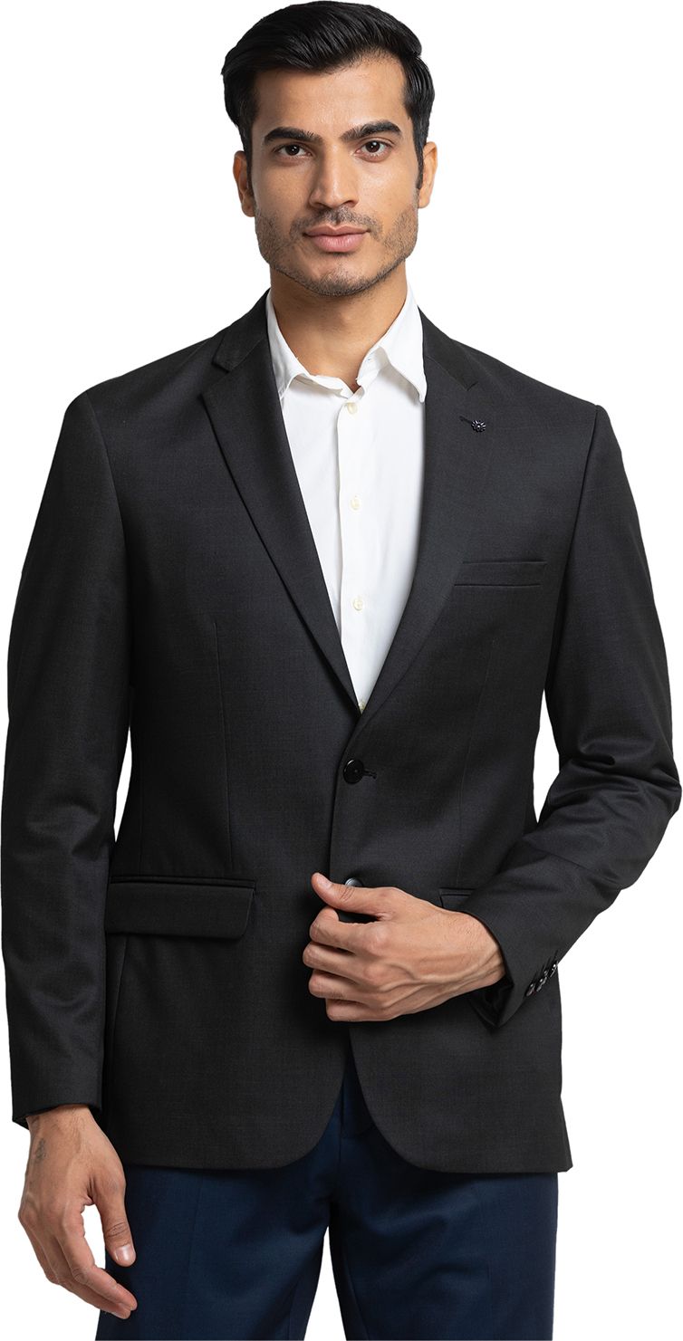 raymond Men 2 Pcs Suit Solid Suit-picture-22