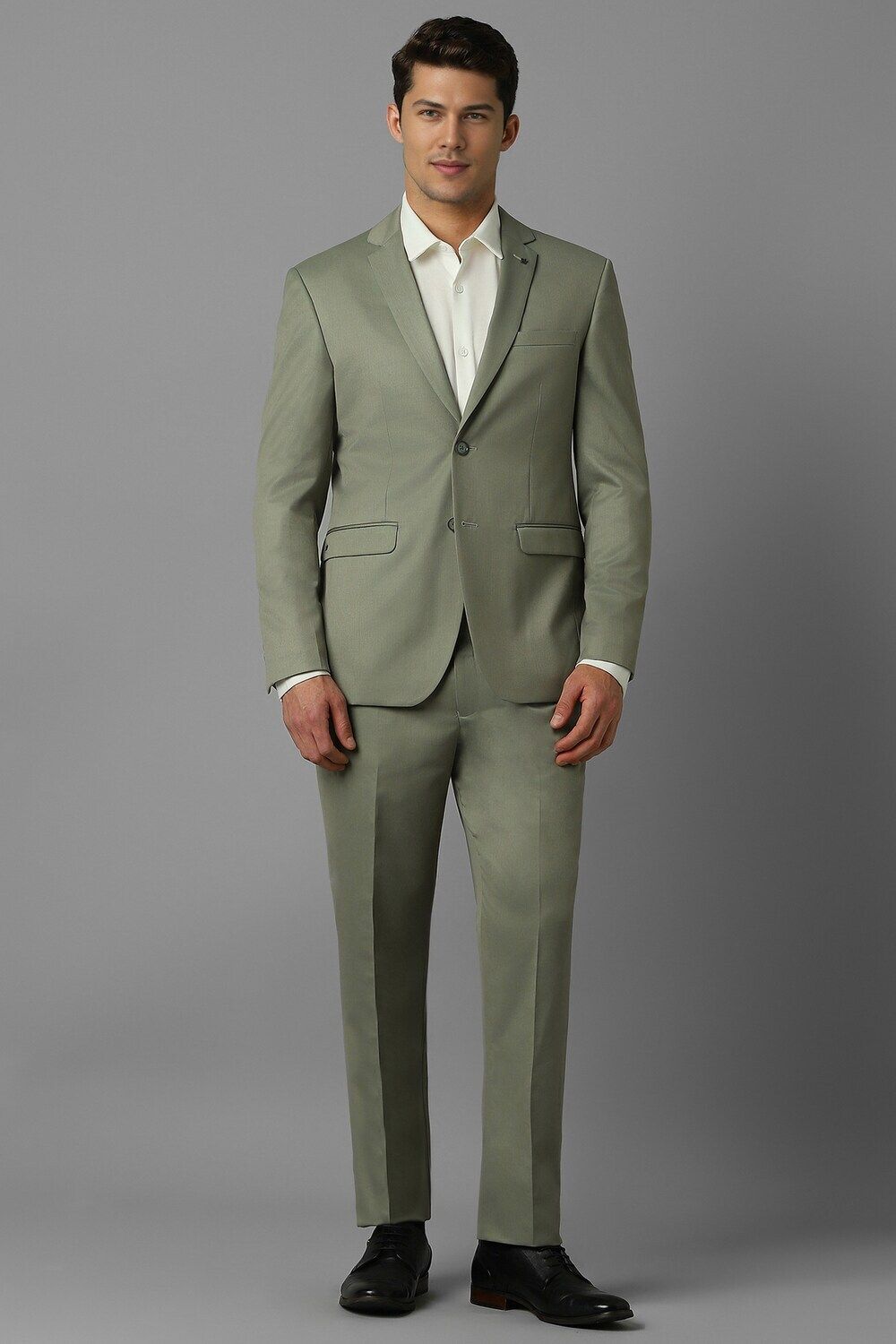 louis philippe Men Men Olive Slim Fit Textured Formal Two Piece Suit Textured Suit-picture-16