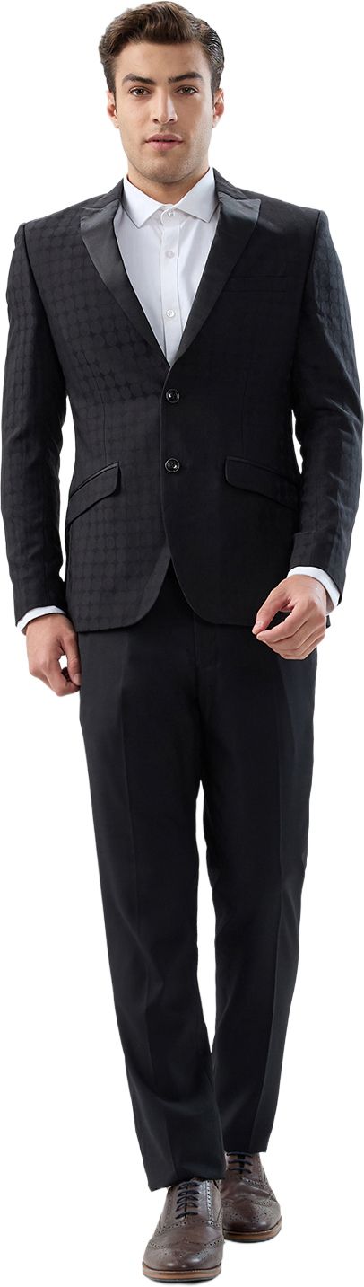park avenue Men Suit Textured Suit-picture-31
