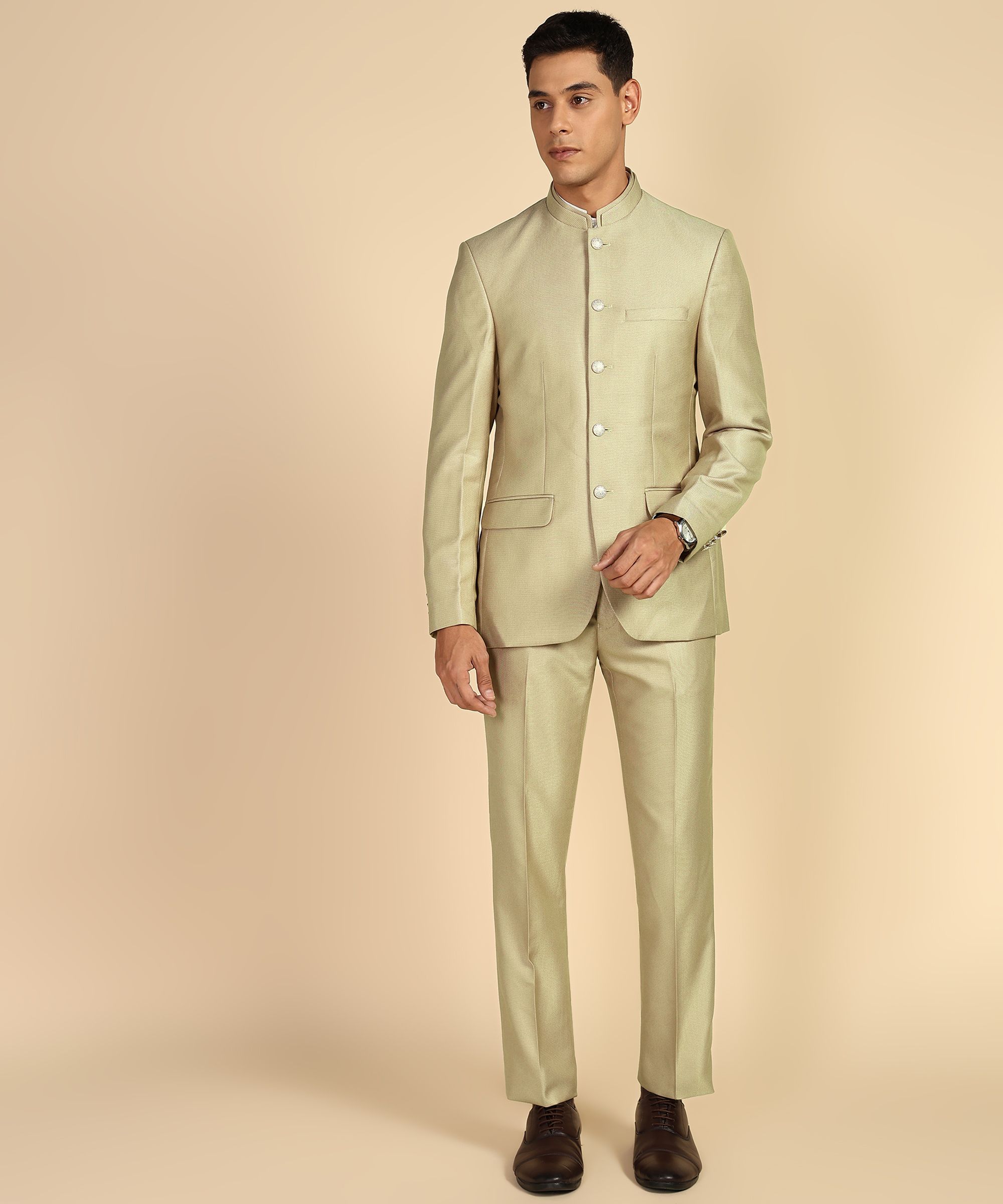 raymond Men 2 PC Suit Self Design Suit-picture-20
