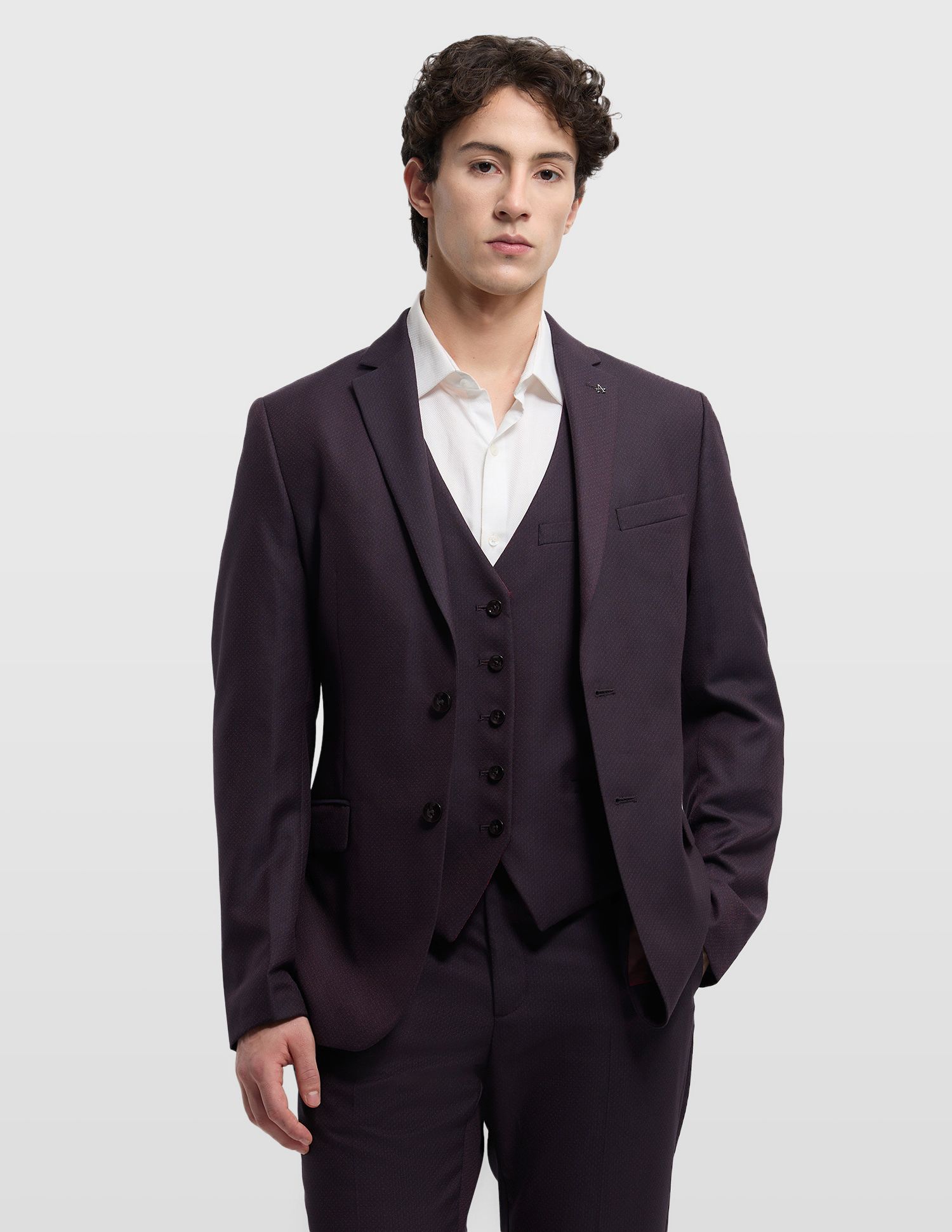 arrow Men Formal Wear Self Design Suit-picture-28